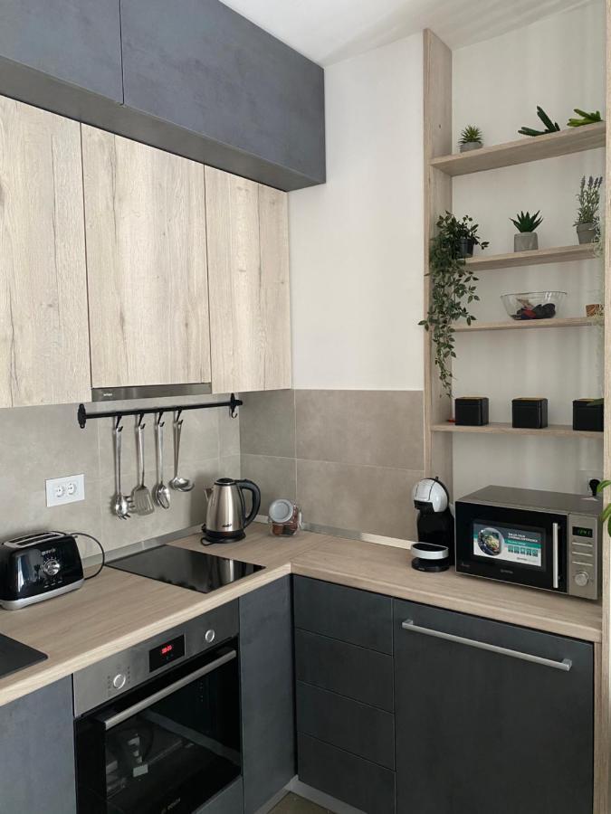 Apartment Pupin Star - City Centre Novi Sad Exterior foto